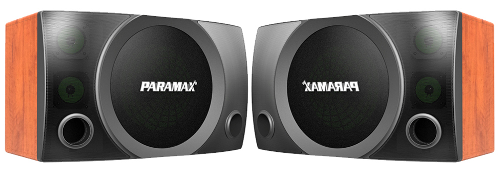 Cặp loa Karaoke Paramax MK S2000