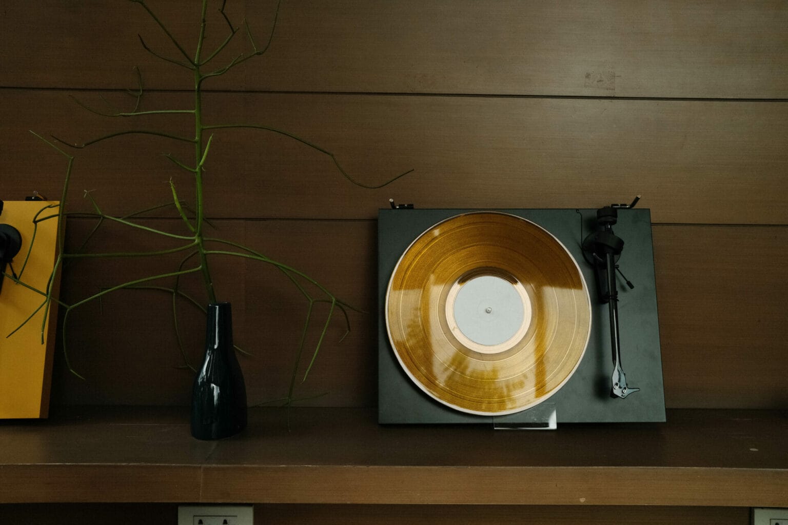 The Highball: Chơi đĩa than đúng cách cùng Pro-Ject Audio