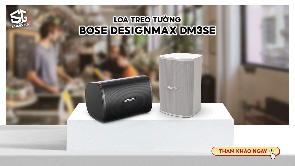 Loa treo tường Bose DesignMax DM3SE