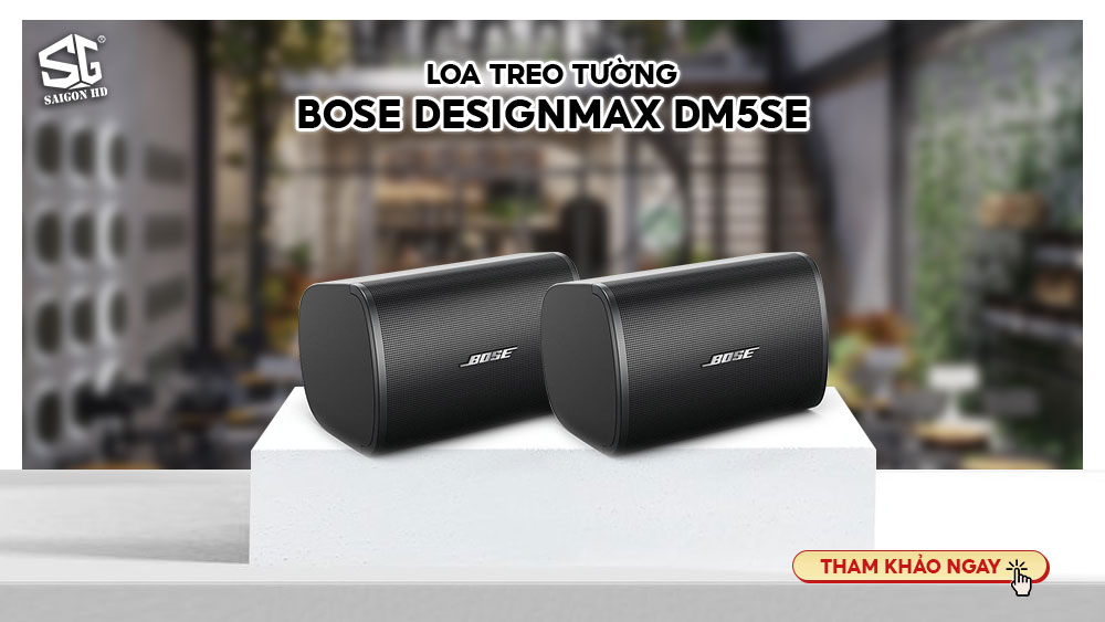 Loa treo tường Bose DesignMax DM5SE