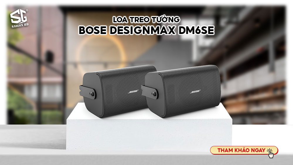 Loa treo tường Bose DesignMax DM6SE